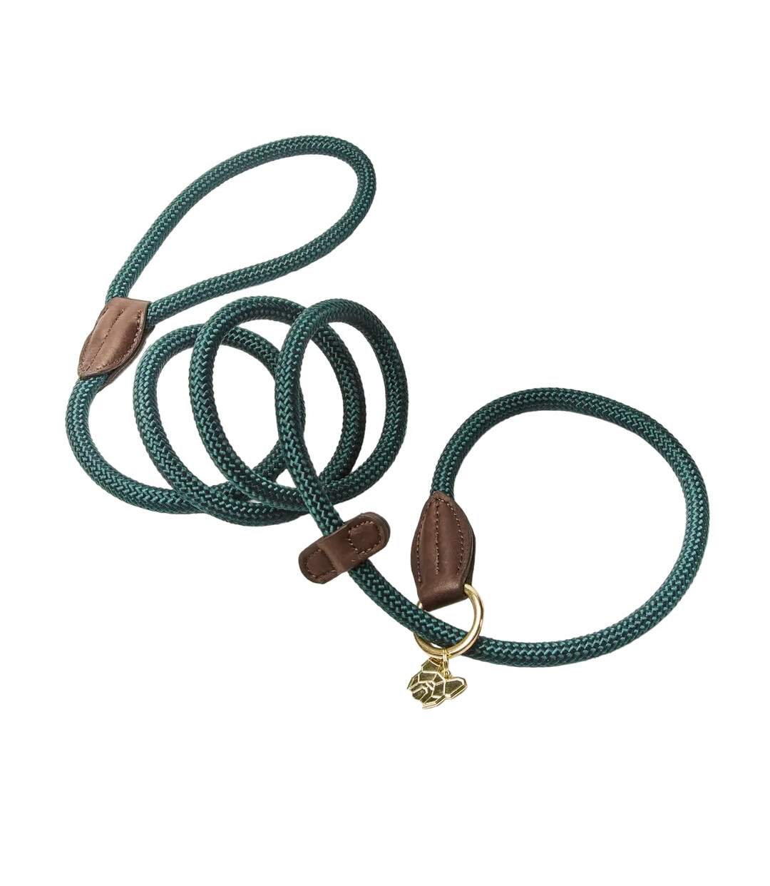 Leather dog slip lead one size green Digby & Fox-1