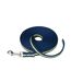 Laisse pour chiens 5 m bleu marine / vert clair Coachies