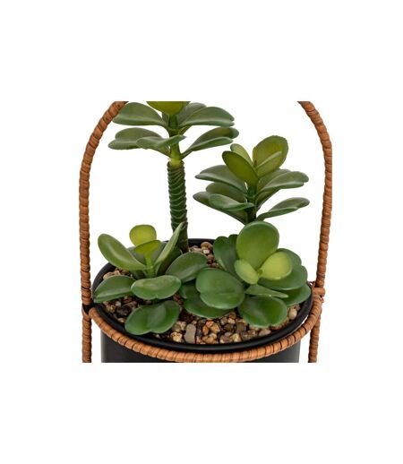 Plante Artificielle Suspendue Tyla 31cm Noir