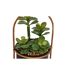 Plante Artificielle Suspendue Tyla 31cm Noir-2