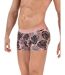 Boxer Pacif Clever-2