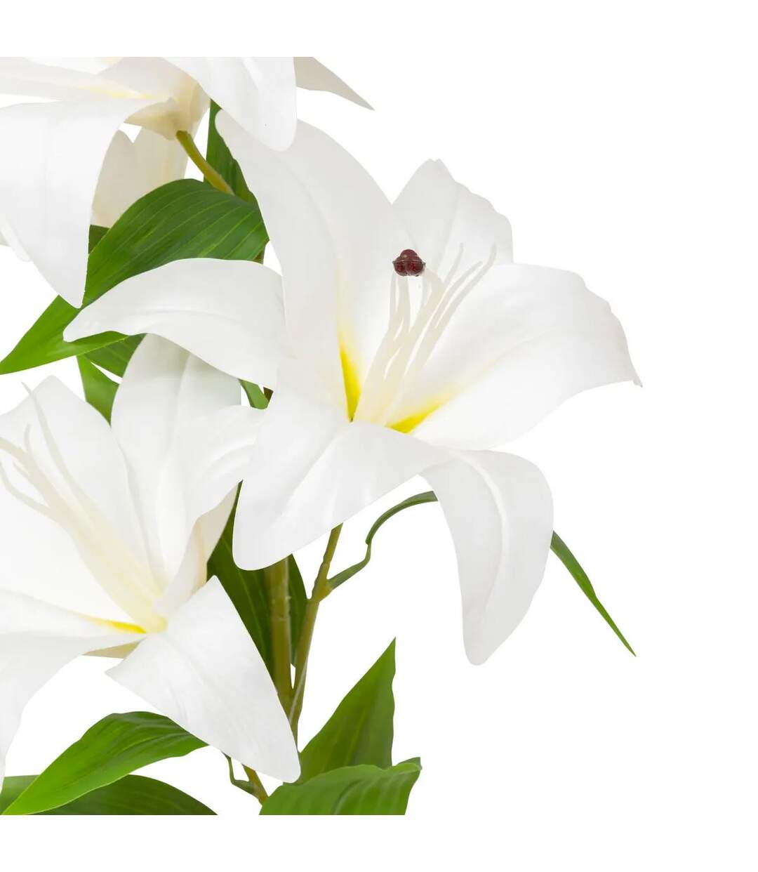 Tige Artificielle 4 Lys Jago 80cm Blanc-2