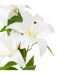 Tige Artificielle 4 Lys Jago 80cm Blanc-2