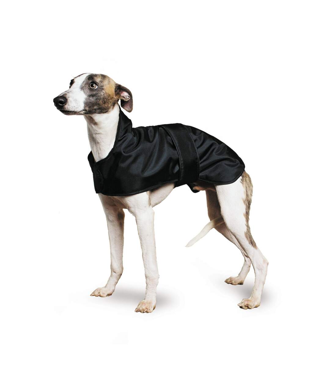 Ancol Pet Products Muddy Paws Touch Fasten Whippet Coat (70cm) (Black) - UTVP1032-1