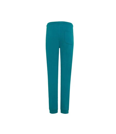 Unisex Adult Cooper Recycled Cotton Jogging Bottoms Verdigris Iqoniq