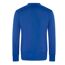 T-shirt homme bleu roi AWDis Cool-2