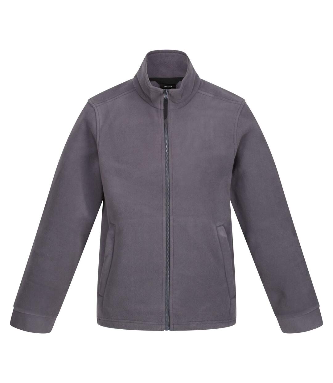 Veste Polaire Classic Homme Gris Phoque Regatta-1