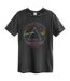 T-shirt Tour Adulte Anthracite Amplified-1