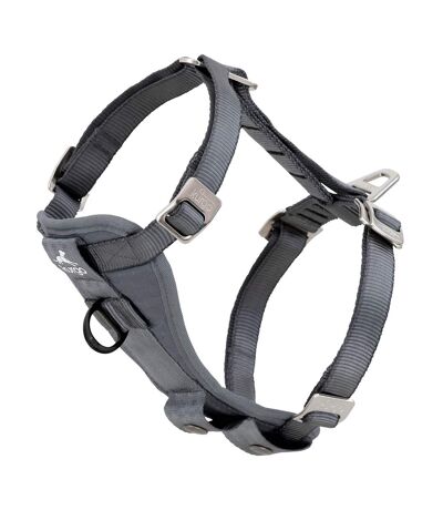 Tru-fit dog harness l charcoal Kurgo