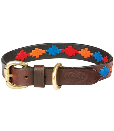 Weatherbeeta Polo Leather Dog Collar (Beaufort Brown/Red/Orange/Blue) (XXL) - UTWB1575