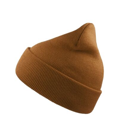 Unisex adult wind recycled cuffed beanie light brown Atlantis