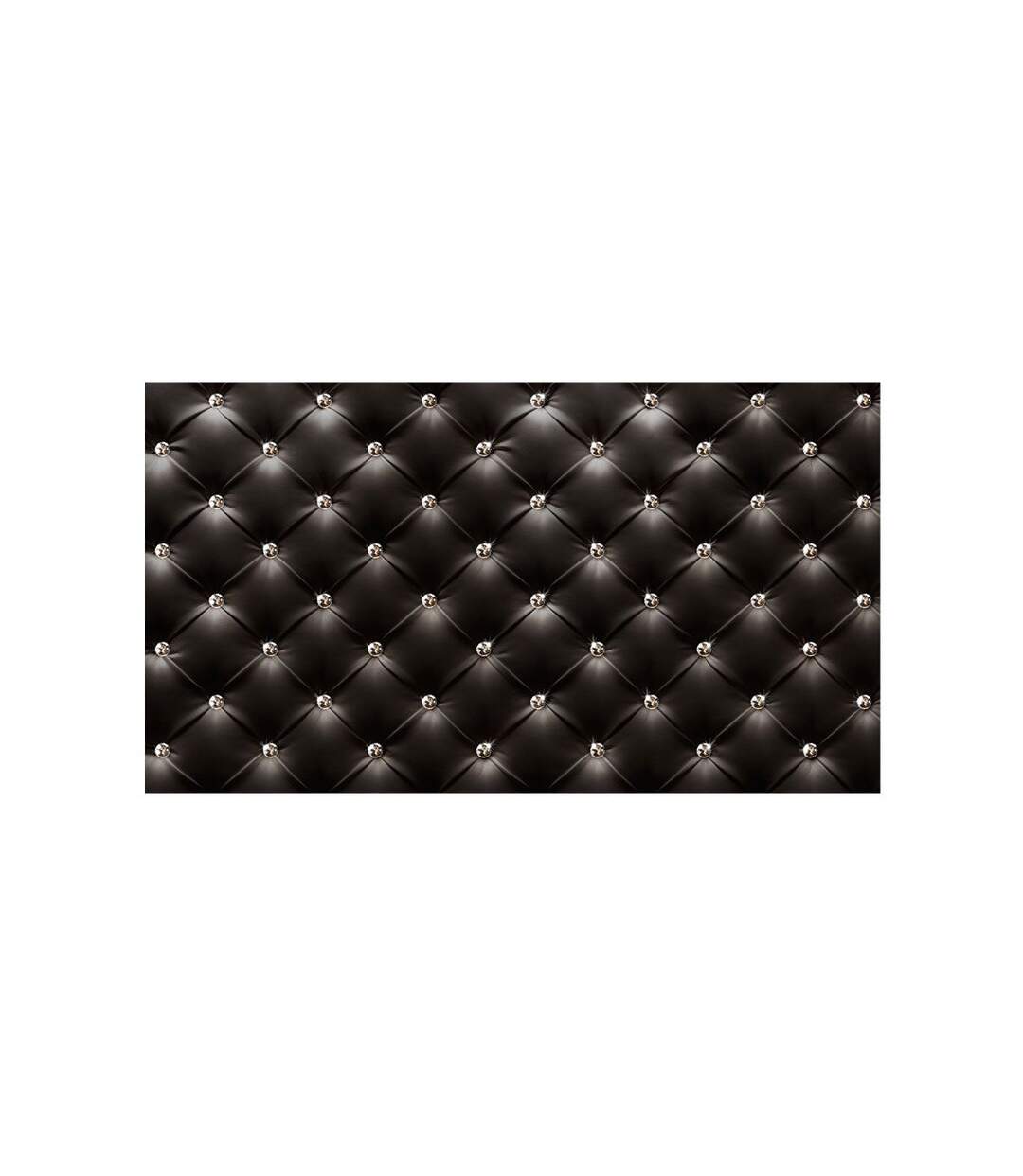 Papier Peint XXL Black Queen 280x500cm-2