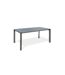 Table de Jardin en Verre Honfleur 180-250cm Gris Anthracite-1