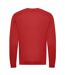 Unisex Adult Organic Sweatshirt Fire Awdis-2