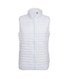 2786 Mens Tribe Fineline Padded Gilet/Bodywarmer (Steel)