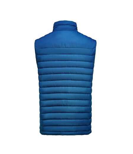 Veste Sans Manches Meadows Femme Bleu James Harvest
