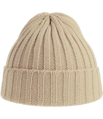 Atlantis Unisex Adult Shore Chunky Recycled Beanie (Beige) - UTAB616