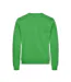Sweat Miami Adulte Vert Pomme Clique-2