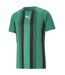 Mens Team Liga Striped T-shirt Green Black White Puma-1
