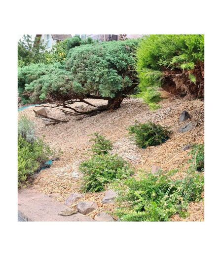 Mulch paillage couvre sol 125 Litres