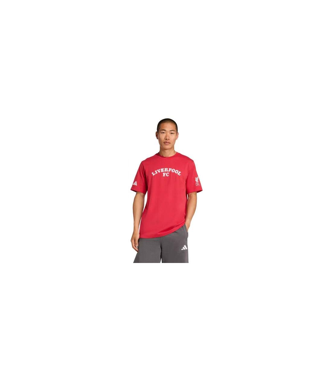 Mens Liverpool Fc T-shirt Red Adidas-1