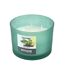 Bougie Verrine Parfumée Essentiel II 11cm Thé Vert-1