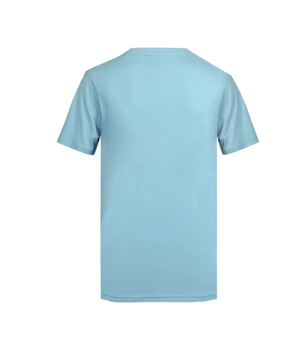 T-shirt Bleu Clair Homme Gotcha Fishman - L