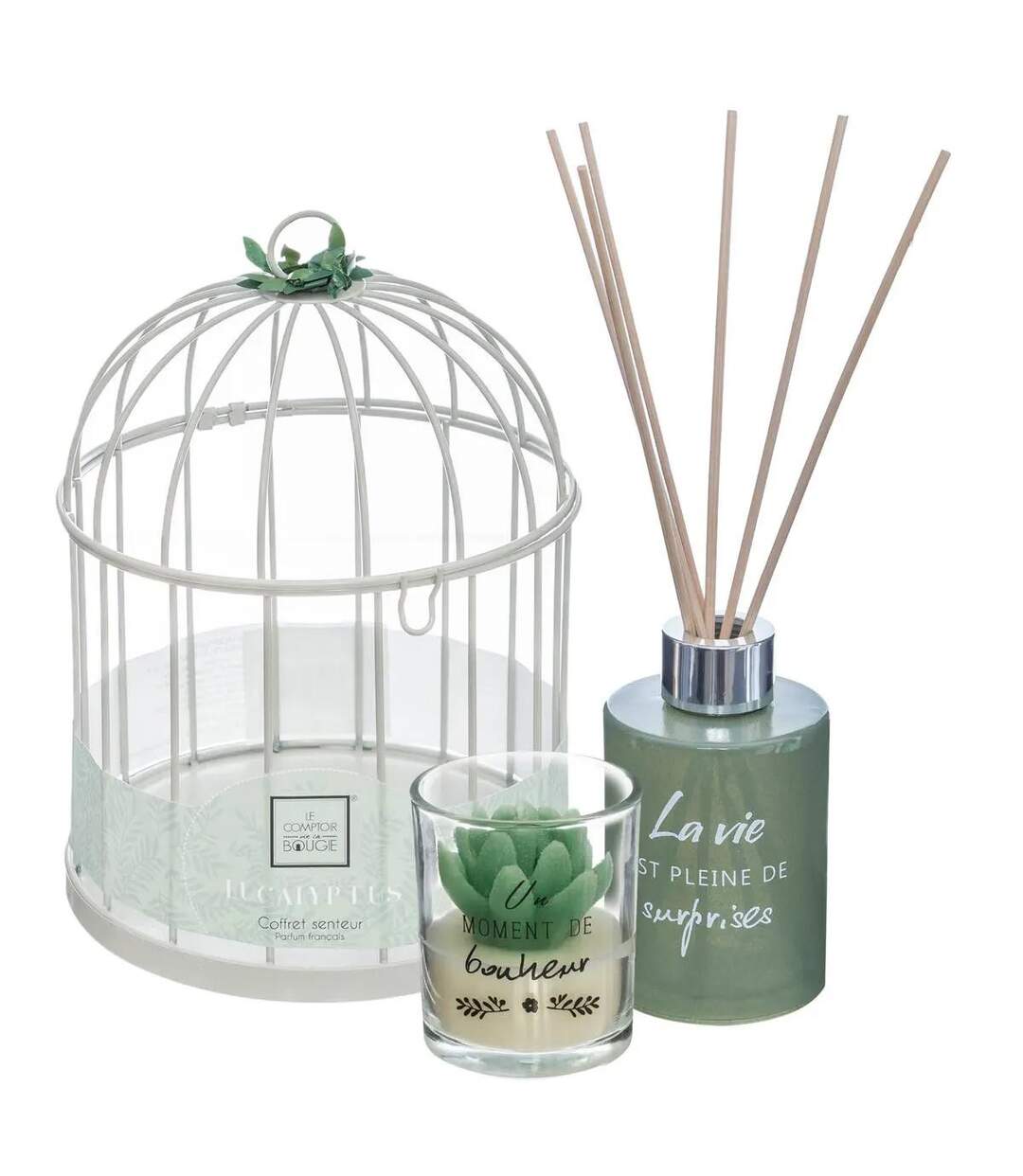 Coffret de Fragrances Cage 20cm Eucalyptus-2