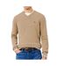 Pull col v beige homme lacoste ah1951-1