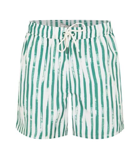 Mens Vertical Stripe Regular Swim Shorts Jade Green Jack Wills