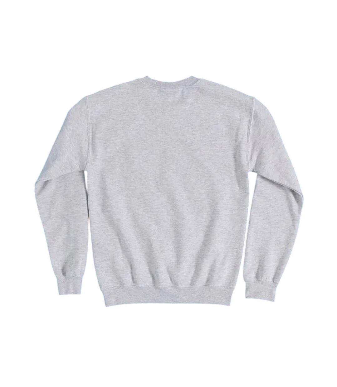 Sweat Charlie And The Gang Adulte Gris Peanuts-3
