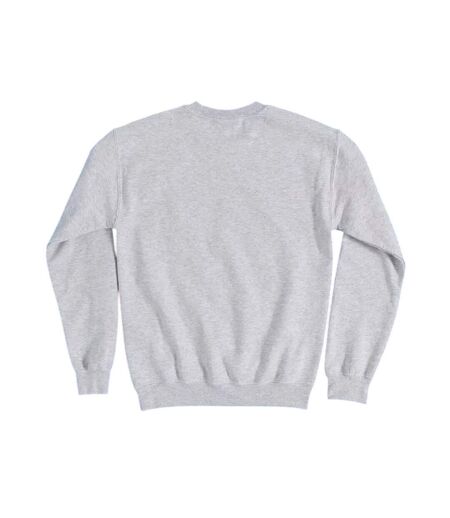 Sweat Charlie And The Gang Adulte Gris Peanuts