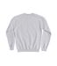 Sweat Charlie And The Gang Adulte Gris Peanuts-3