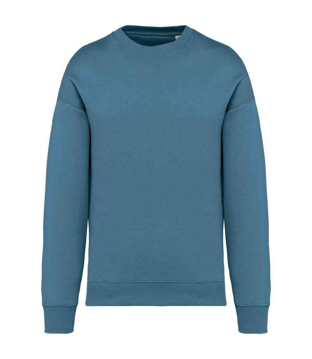 Womens/ladies Oversized Sweatshirt Adriatic Blue Native Spirit-1