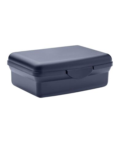 Carmany polypropylene 800ml lunch box one size french navy MidOcean