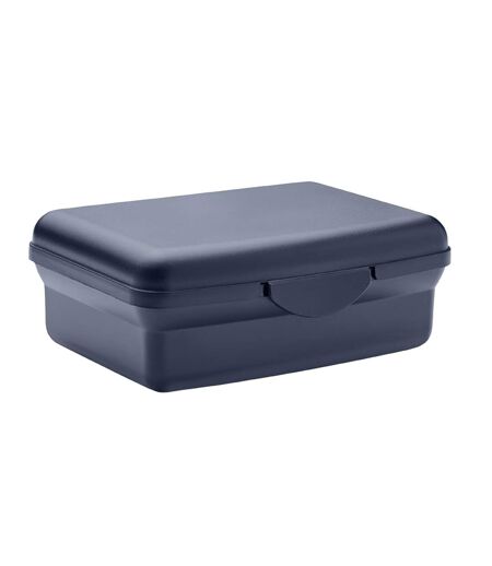 Carmany polypropylene 800ml lunch box one size french navy MidOcean
