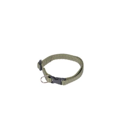 Collier Réglable pour Chien Essentiel 35cm Kaki