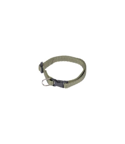 Collier Réglable pour Chien Essentiel 35cm Kaki