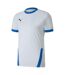Maillot Teamgoal Homme Blanc Bleu Puma-1