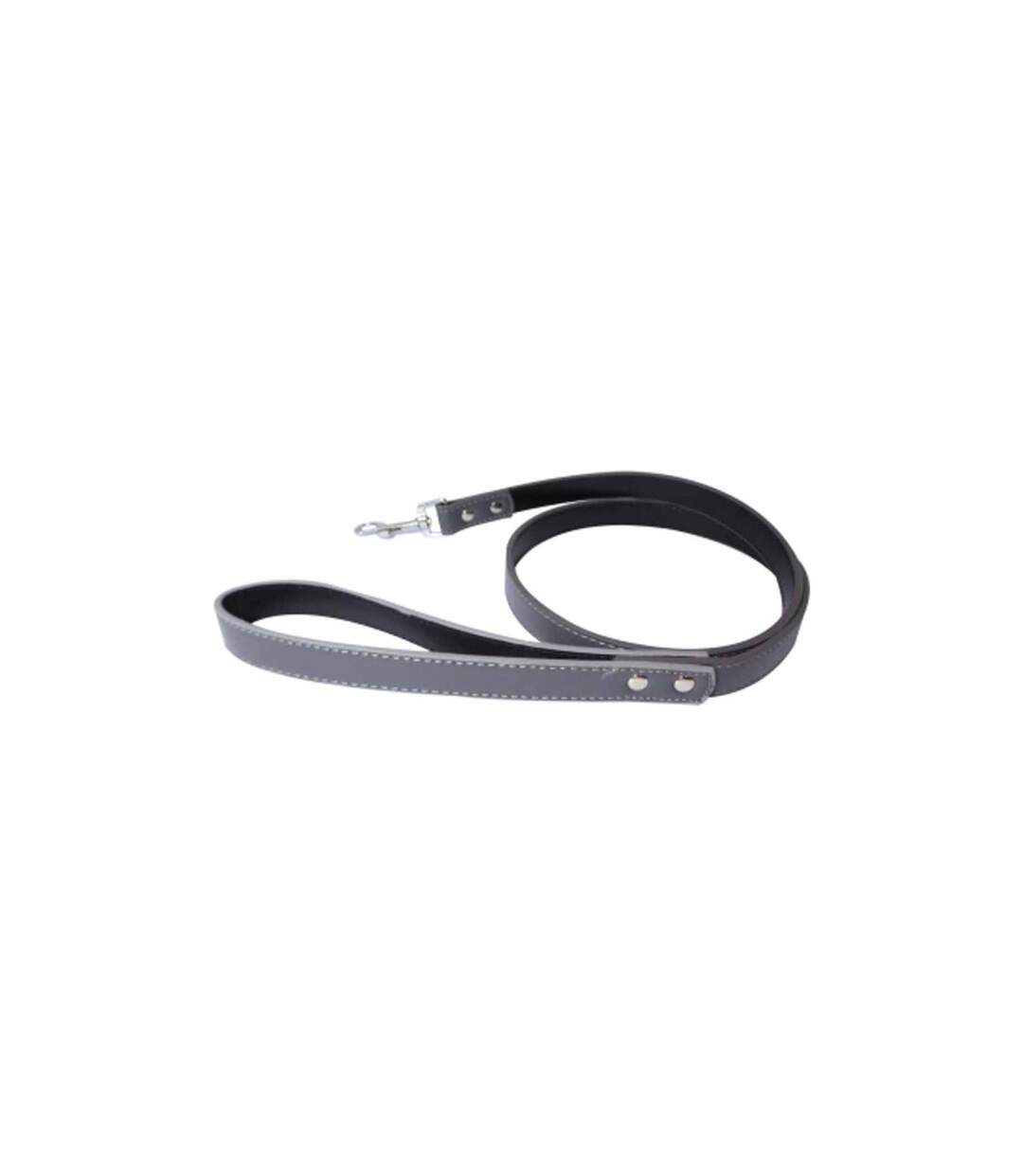 Laisse pour Chien Élégante 120cm Gris-1