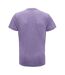 Tri Dri Mens Short Sleeve Lightweight Fitness T-Shirt (Purple Melange) - UTRW4798