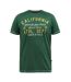 T-shirt parnwell d555 california athletics homme vert Duke