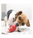 Classic dog chew toy xs red KONG-3