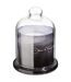 Bougie Parfumée sous Cloche Loyd 650g Délices Frangipanier-1