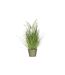 Plante Artificielle Déco Graminées 81cm Vert