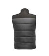 Regatta Mens Standout Altoona Insulated Bodywarmer Jacket (Seal Grey/Black)