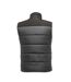 Regatta Mens Standout Altoona Insulated Bodywarmer Jacket (Seal Grey/Black) - UTBC3038