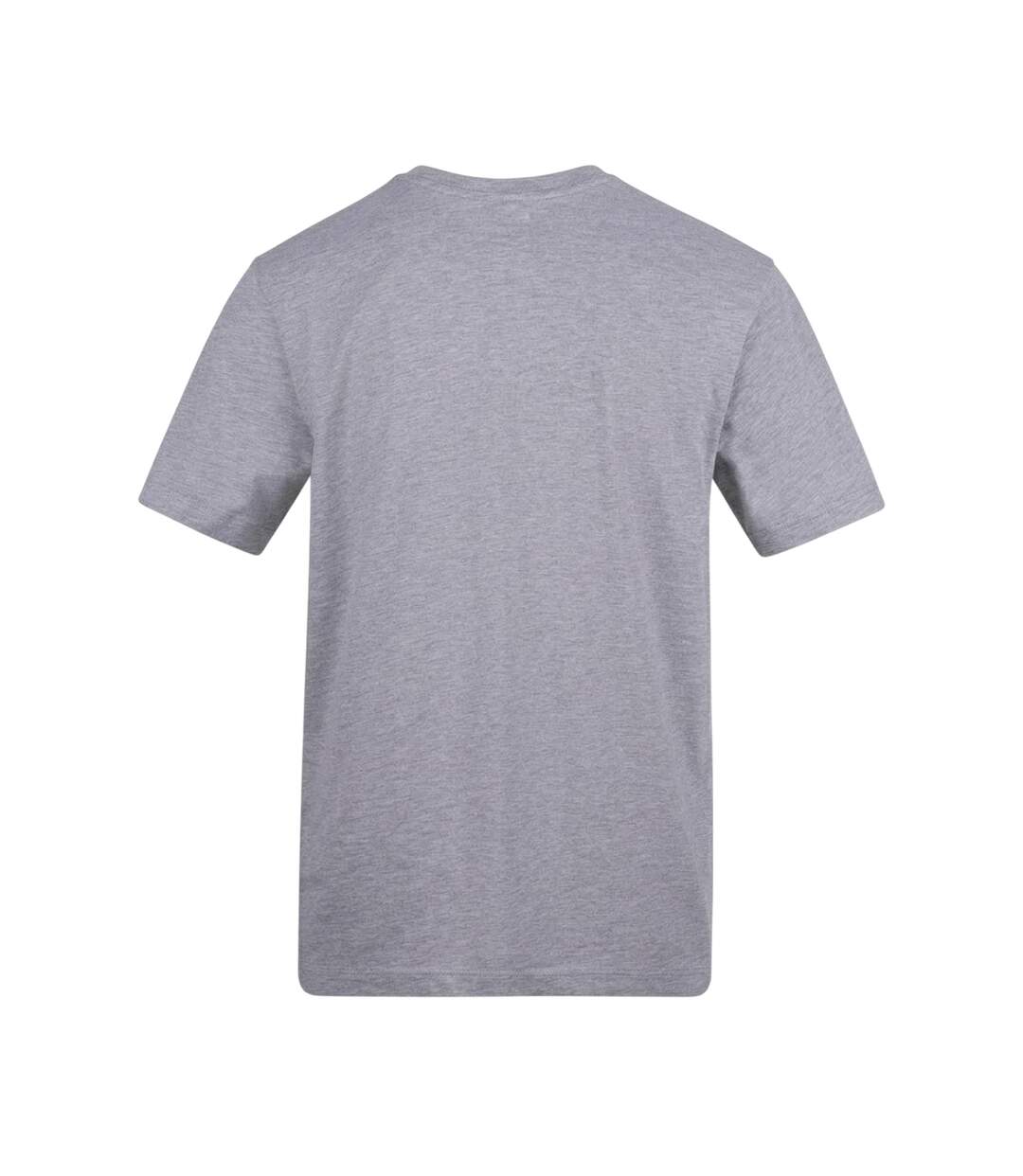 Mens Norris F1 T-shirt Grey AWD-2