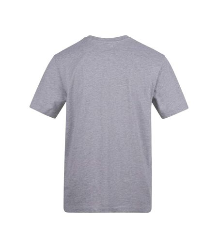 Mens Norris F1 T-shirt Grey AWD