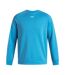 Sweat Homme Bleu Under Armour-2